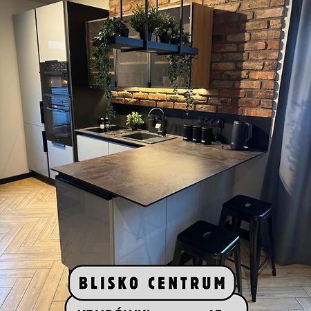 Apartamenty Szary Wilk - Klimatyczne Apartamenty Dla 2 Osob - Blisko Centrum -Bezplatny Parking زاكوباني المظهر الخارجي الصورة