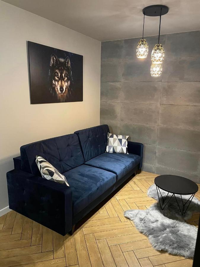 Apartamenty Szary Wilk - Klimatyczne Apartamenty Dla 2 Osob - Blisko Centrum -Bezplatny Parking زاكوباني المظهر الخارجي الصورة