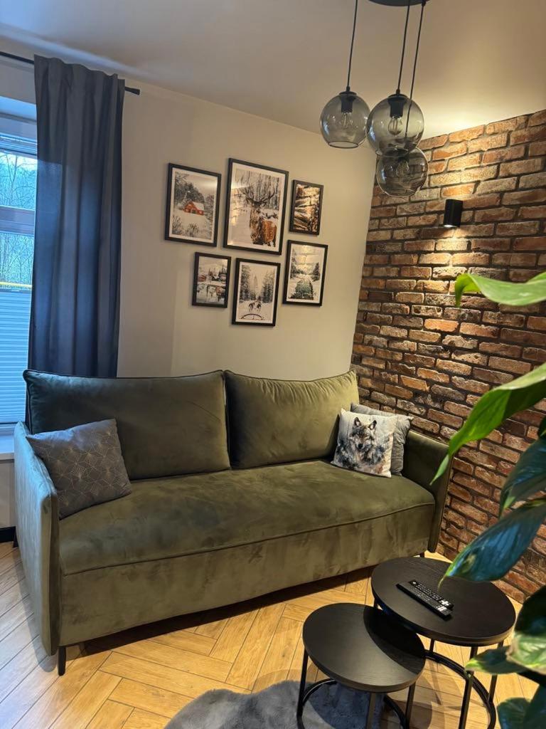 Apartamenty Szary Wilk - Klimatyczne Apartamenty Dla 2 Osob - Blisko Centrum -Bezplatny Parking زاكوباني المظهر الخارجي الصورة